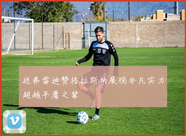 迈弗雷迪赞格拉斯纳展现非凡实力超越平庸之辈